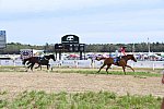 CAROLINA CUP-4-2-22-7990-DDeRosaPhoto
