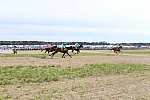 CAROLINA CUP-4-2-22-7997-DDeRosaPhoto