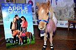 EQUUSFF-11-2016-8131--DDeRosaPhoto