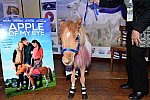 EQUUSFF-11-2016-8132--DDeRosaPhoto
