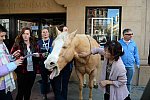 EQUUSFF-11-2016-8186--DDeRosaPhoto