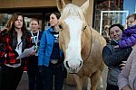 EQUUSFF-11-2016-8195--DDeRosaPhoto