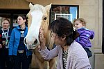 EQUUSFF-11-2016-8199--DDeRosaPhoto