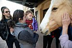 EQUUSFF-11-2016-8202--DDeRosaPhoto