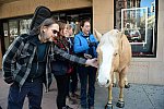 EQUUSFF-11-2016-8209--DDeRosaPhoto