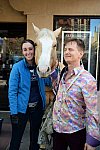 EQUUSFF-11-2016-8212--DDeRosaPhoto