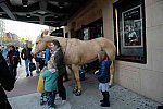 EQUUSFF-11-2016-8233--DDeRosaPhoto