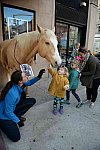 EQUUSFF-11-2016-8238--DDeRosaPhoto