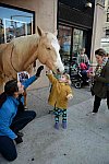 EQUUSFF-11-2016-8240--DDeRosaPhoto