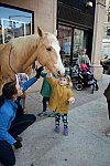 EQUUSFF-11-2016-8241--DDeRosaPhoto