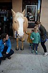 EQUUSFF-11-2016-8247--DDeRosaPhoto