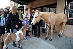 EQUUSFF-11-2016-8267--DDeRosaPhoto