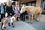 EQUUSFF-11-2016-8268--DDeRosaPhoto