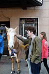 EQUUSFF-11-2016-8309--DDeRosaPhoto