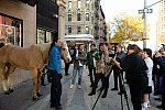 EQUUSFF-11-2016-8326--DDeRosaPhoto