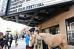 EQUUSFF-11-2016-8347--DDeRosaPhoto