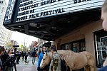 EQUUSFF-11-2016-8349--DDeRosaPhoto