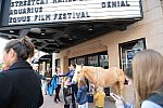 EQUUSFF-11-2016-8260--DDeRosaPhoto