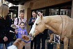 EQUUSFF-11-2016-8273--DDeRosaPhoto