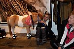 EQUUSFF-11-2016-8633-NinaGlaichevaPhoto