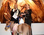 EQUUSFF-11-2016-8688-NinaGlaichevaPhoto