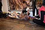 EQUUSFF-11-2016-8757-NinaGlaichevaPhoto
