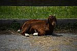 EFF-MD-TourStop-5-12-14-17-7353-DDeRosaPhoto