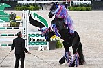 Tryon-10-29-17-3104-DDeRosaPho