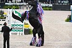 Tryon-10-29-17-3117-DDeRosaPho