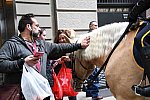 EFF17-11-17-19-17-2703-DDeRosaPhoto