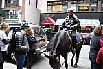 EFF17-11-17-19-17-2734-DDeRosaPhoto