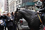 EFF17-11-17-19-17-2774-DDeRosaPhoto
