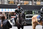 EFF17-11-17-19-17-2802-DDeRosaPhoto