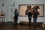 EFF17-11-17-19-17-1501-NinaGlaichevaPhoto
