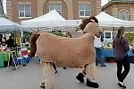 EFF-Canada-7-21-18-1064-DDeRosaPhoto