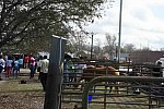 EFF-Camden-2-20-25-2017-3913-DDeRosaPhoto