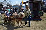 EFF-Camden-2-20-25-2017-4004-DDeRosaPhoto