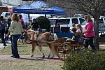 EFF-Camden-2-20-25-2017-4011-DDeRosaPhoto