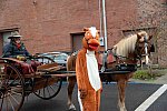 EFF-Camden-2-23-19-6991-Camy-DDeRosaPhoto