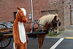 EFF-Camden-2-23-19-6998-Camy-DDeRosaPhoto