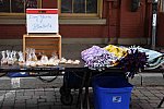 EFF-PA-4-13-19-4861-DDeRosaPhoto