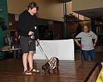 EFF-PA-4-12-19-4618-DDeRosaPhoto