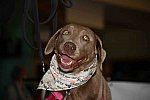 EFF-PA-4-12-19-4638-DDeRosaPhoto