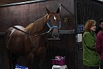 EFF21-11-11-21-6184-DDeRosaPhoto
