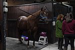 EFF21-11-11-21-6185-DDeRosaPhoto