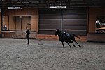 EFF21-11-11-21-6191-DDeRosaPhoto