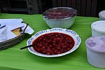 Saccardi-BethShower-6-3-18-0846-DDeRosaPhoto