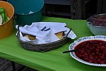 Saccardi-BethShower-6-3-18-0847-DDeRosaPhoto