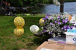 Saccardi-BethShower-6-3-18-0873-DDeRosaPhoto