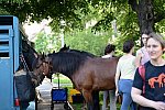 GALLOPNYC-5-22-2022-4132-DDeRosaPhoto